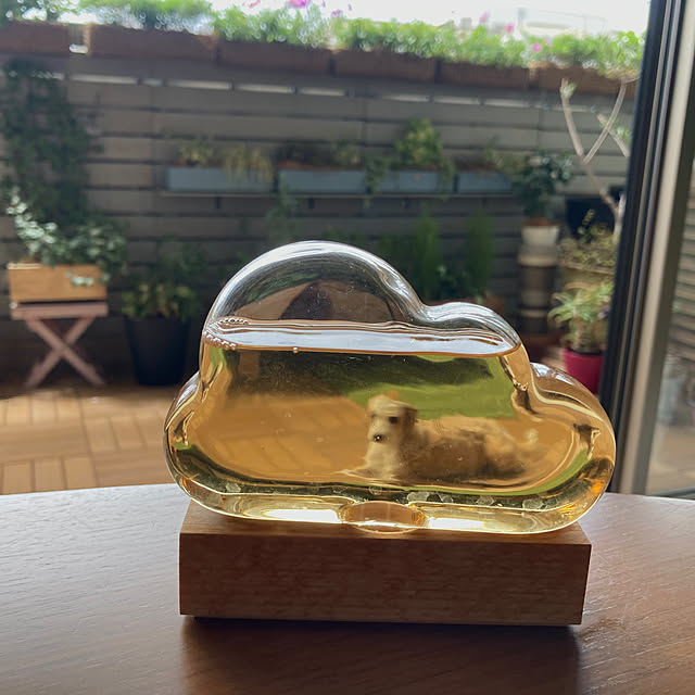 marukoさんの部屋