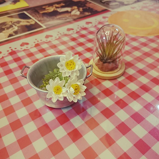 Ayaさんの実例写真
