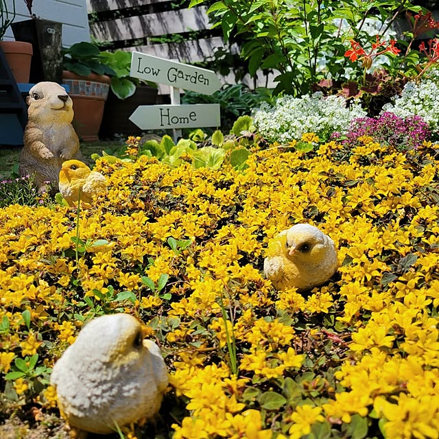Mariさんの部屋