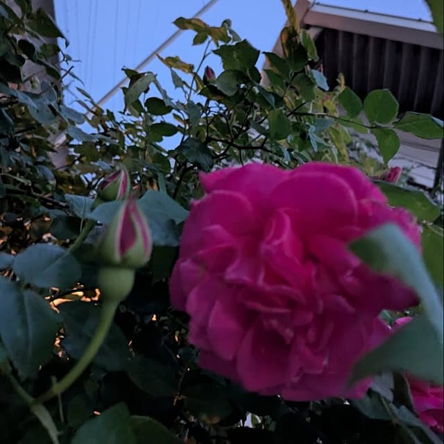 minnieさんの部屋