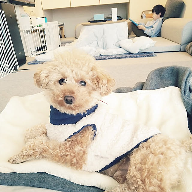 comameさんの実例写真