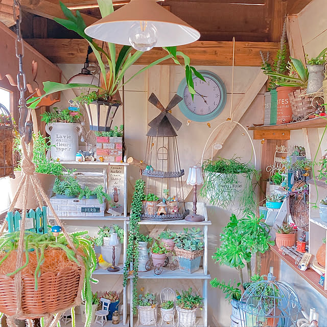 Hanakaさんの部屋