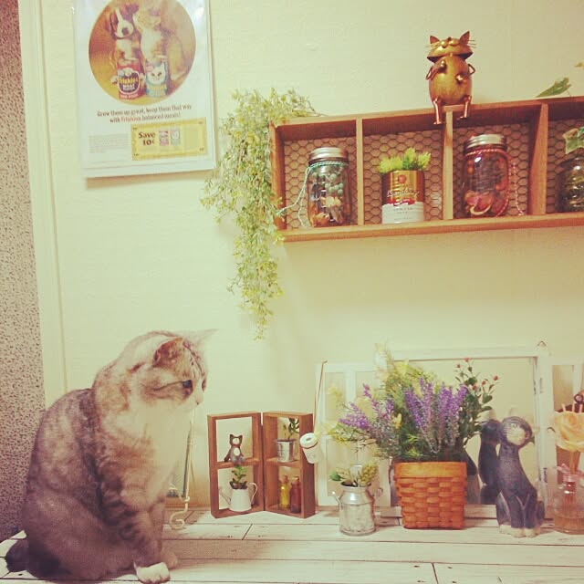 furiさんの実例写真