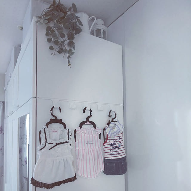 erisavesu4さんの実例写真