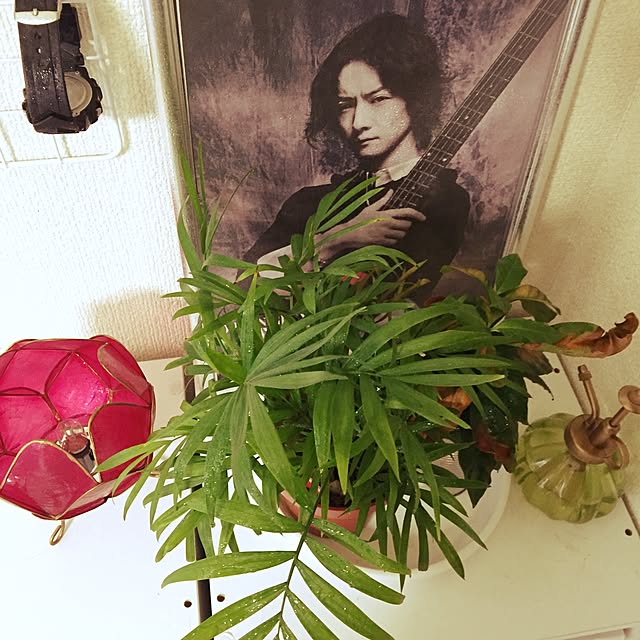 Marikoさんの実例写真