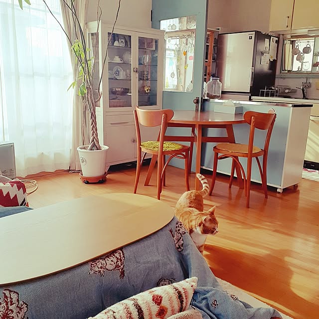 vol.3486写真