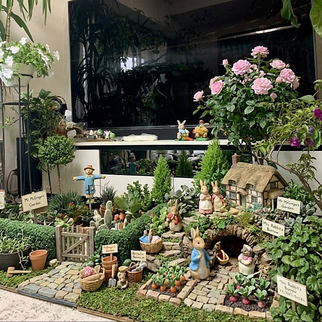 Aqettyさんの部屋