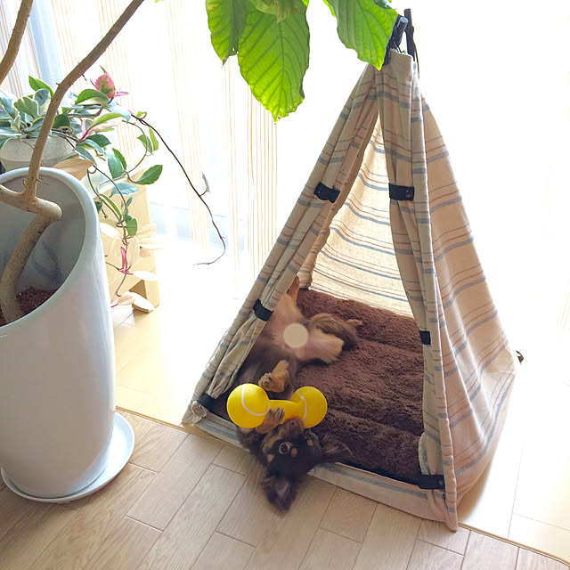 miyuさんの実例写真