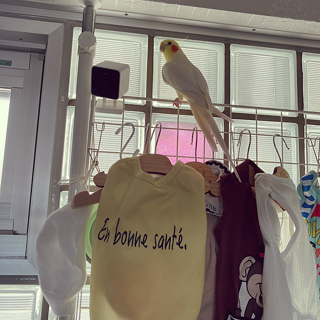 toratanさんの実例写真