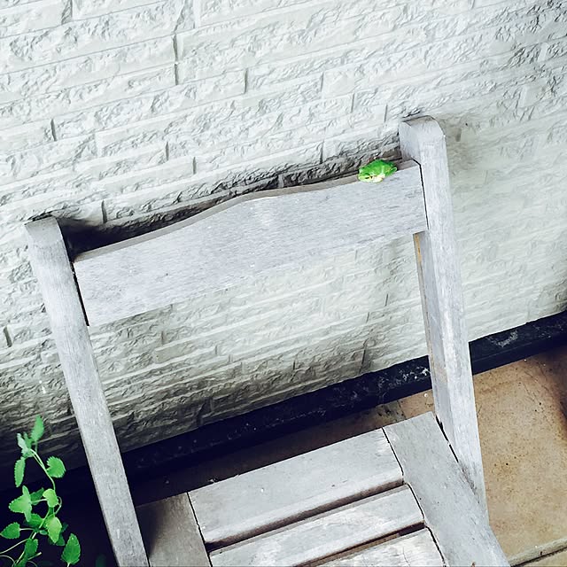 teraさんの実例写真
