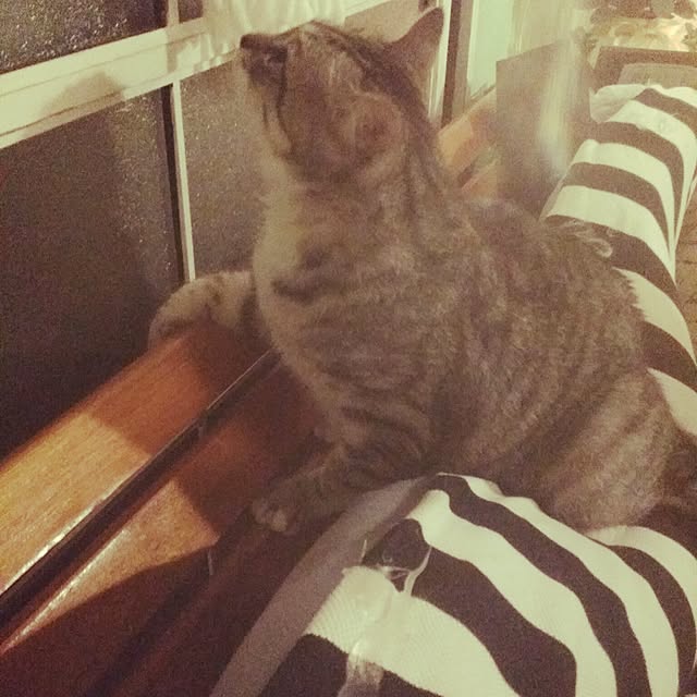 annさんの実例写真