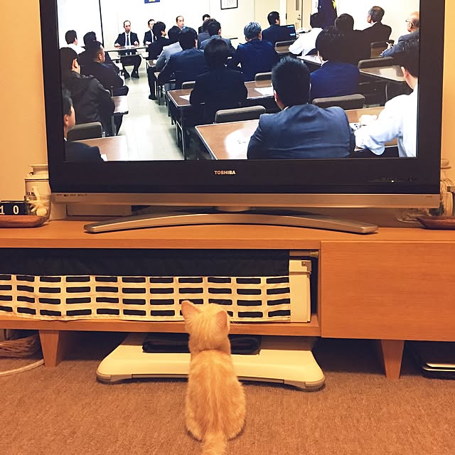 hiyupan88さんの実例写真