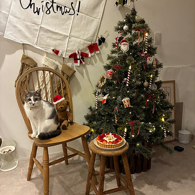 comiriさんの部屋