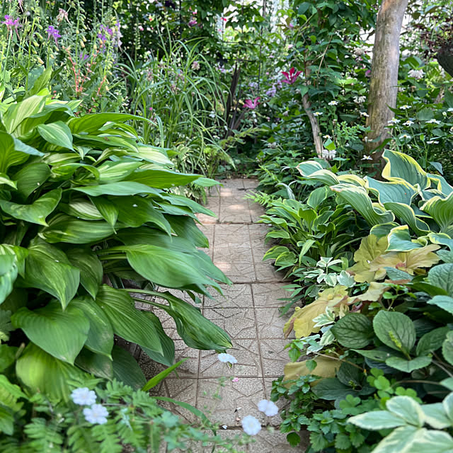 Royal_Gardeners_Clubさんの実例写真