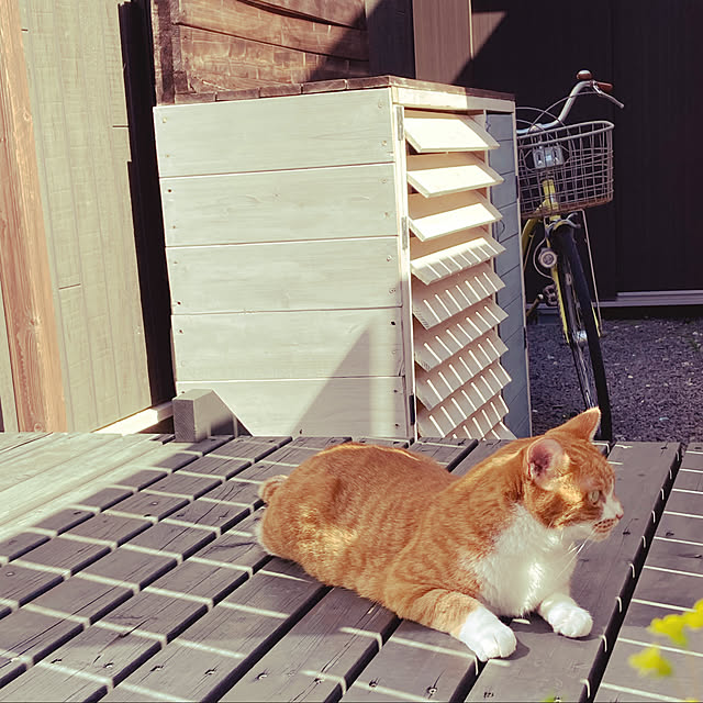 myuuさんの実例写真