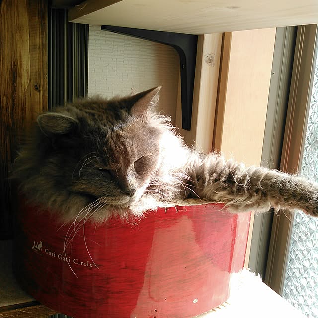 mochiさんの実例写真