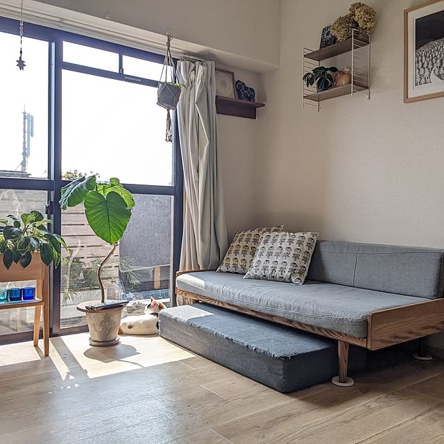 ichi.さんの部屋
