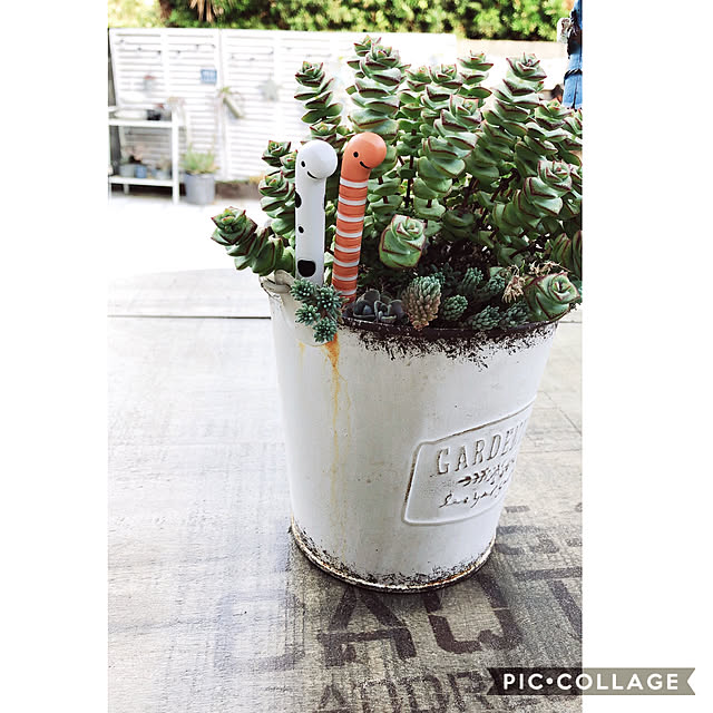craneさんの実例写真