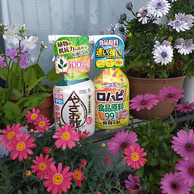 NOAHさんの実例写真