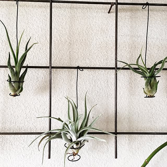 Takaさんの実例写真