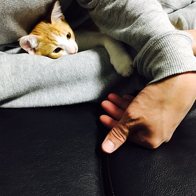 abcさんの実例写真