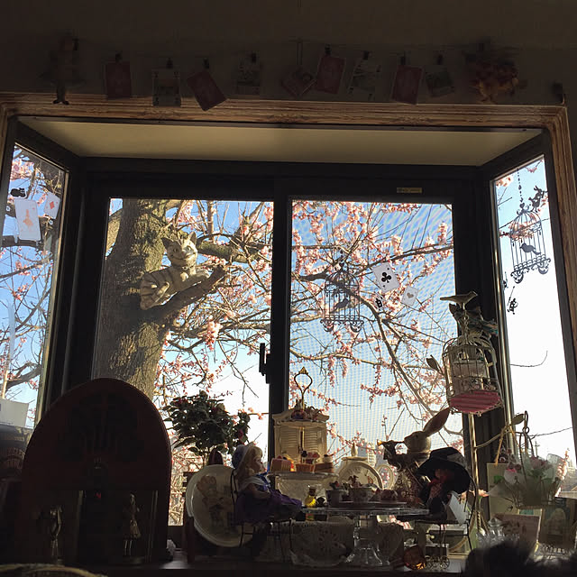 RIERINさんの実例写真
