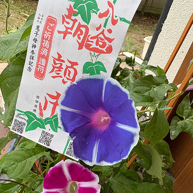 Nagakoさんの実例写真