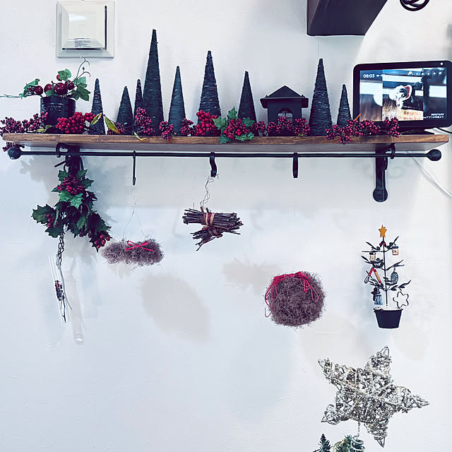 usagiさんの実例写真