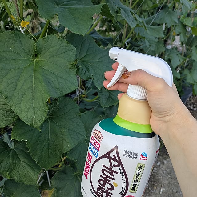 ciiiさんの実例写真
