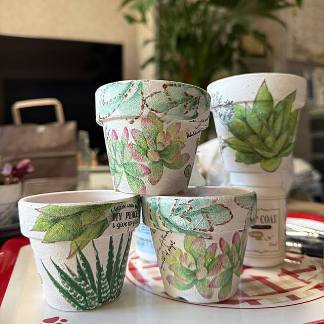 Aqettyさんの部屋