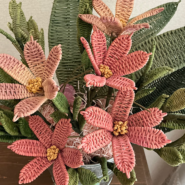 chiiyanさんの部屋