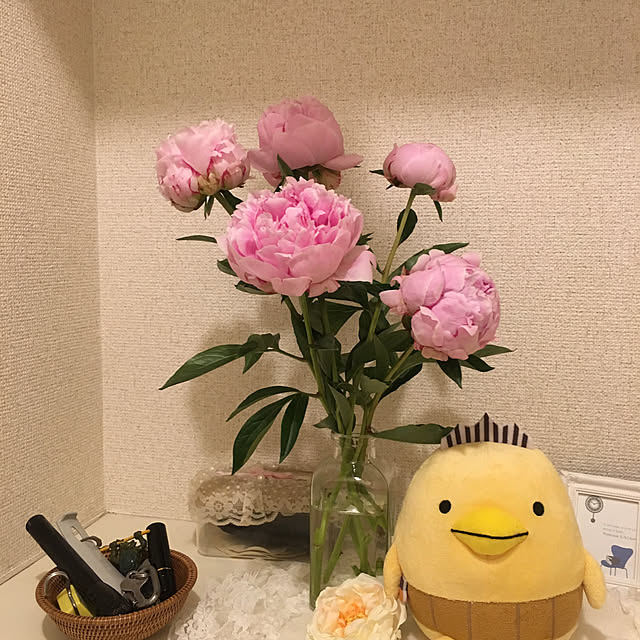 chocolayさんの実例写真