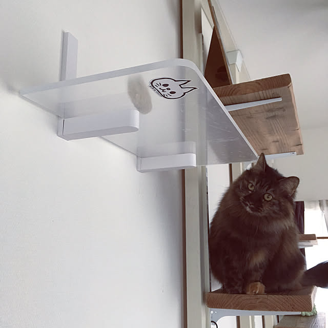 mikomaruさんの実例写真