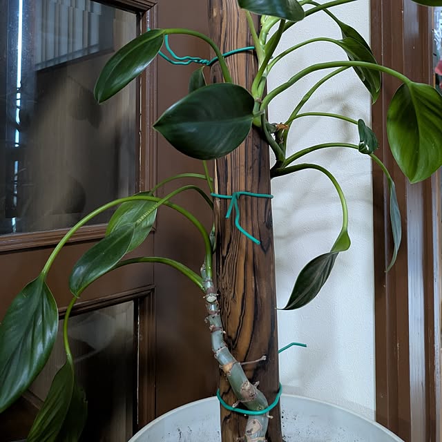 asaさんの部屋