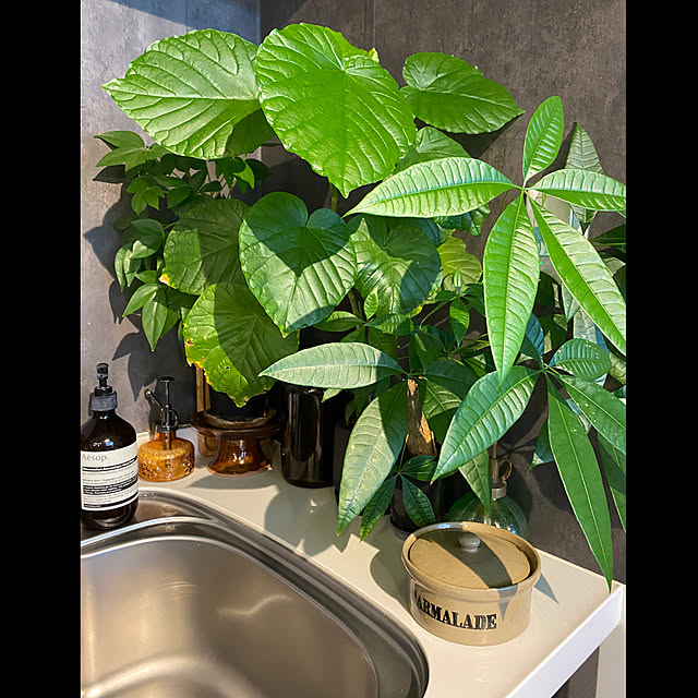 cocochiさんの実例写真