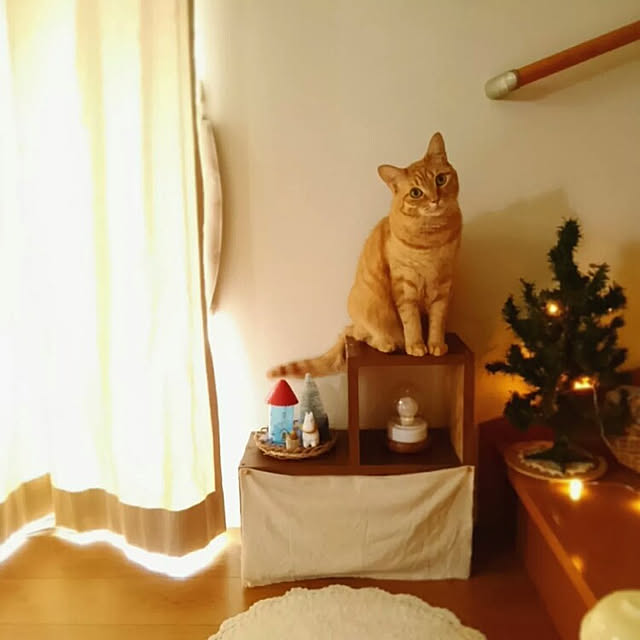 mayutan.さんの実例写真