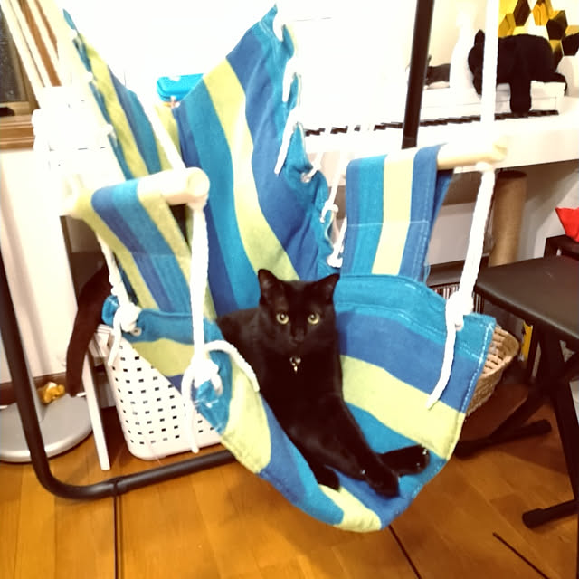 Tさんの実例写真