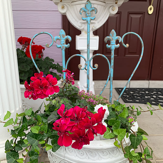 AYUKOさんの実例写真