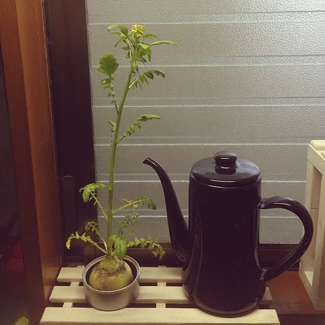 dさんの実例写真