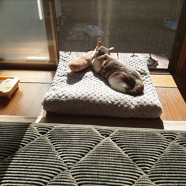 fukuさんの実例写真