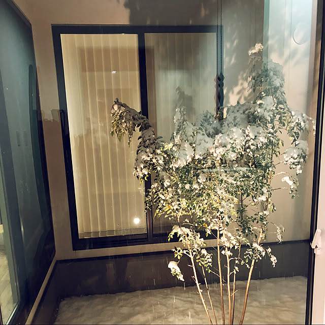 KOHAREさんの実例写真