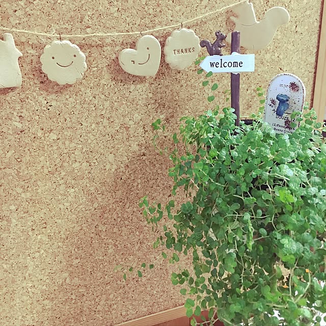 TO19さんの実例写真