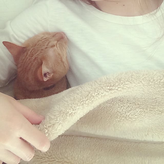 REINA612WORKSさんの実例写真