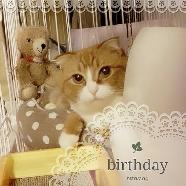 kumingさんの実例写真