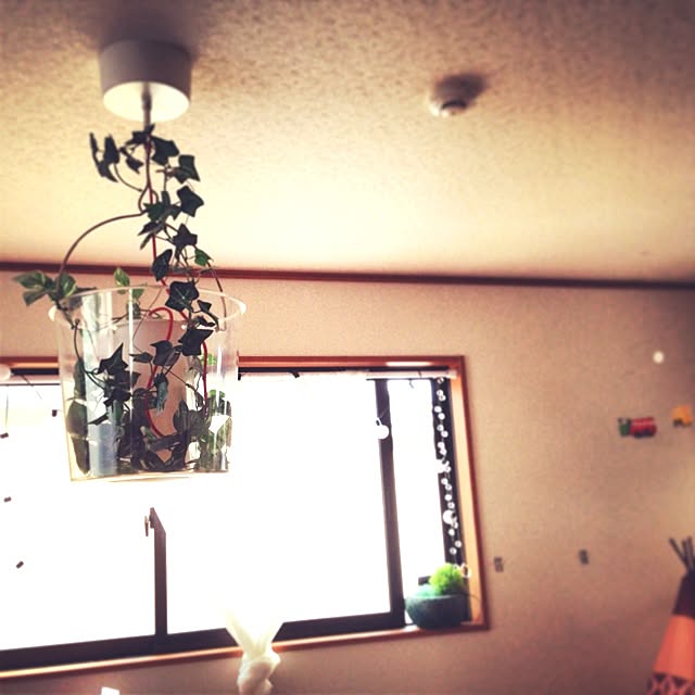 fuusoumaruさんの実例写真