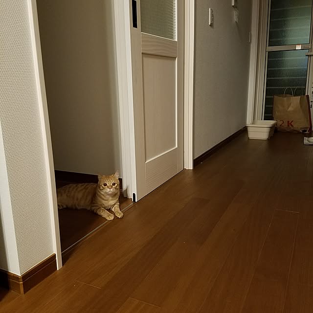 C.Tさんの実例写真