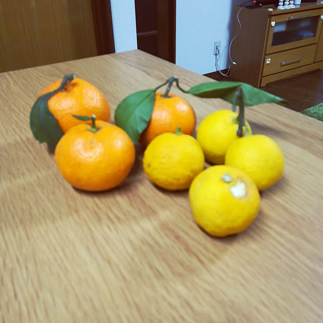 kitoriさんの実例写真