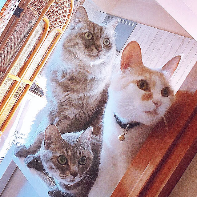 naworinさんの実例写真
