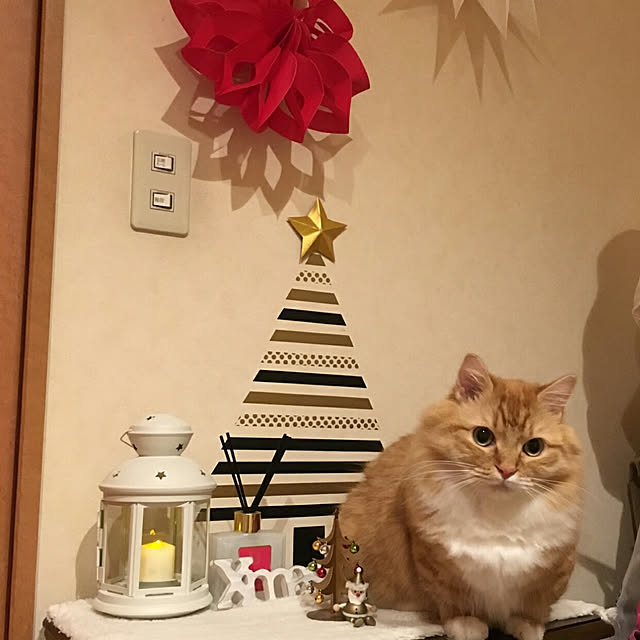 lukeさんの実例写真