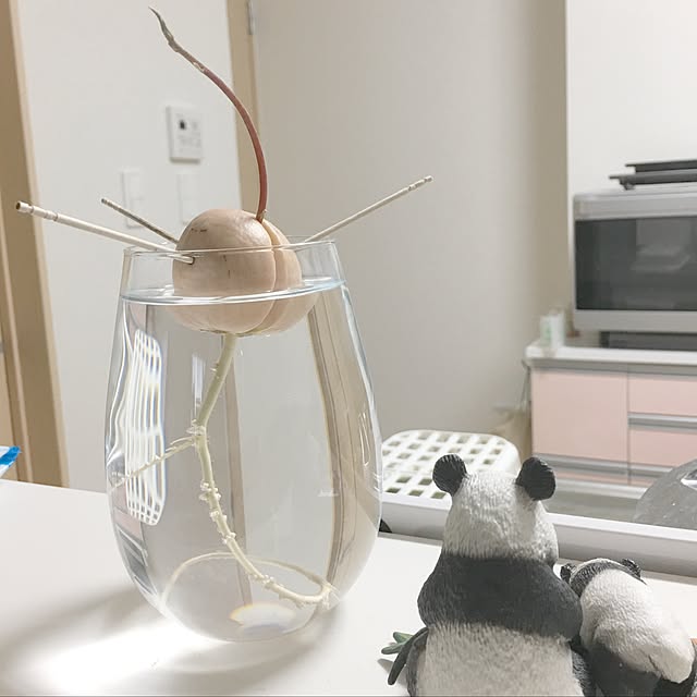 gumiminさんの実例写真